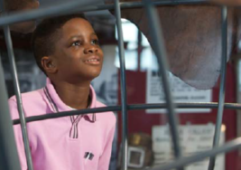 What’s On for Schools