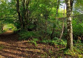 Den Building at Summerlee